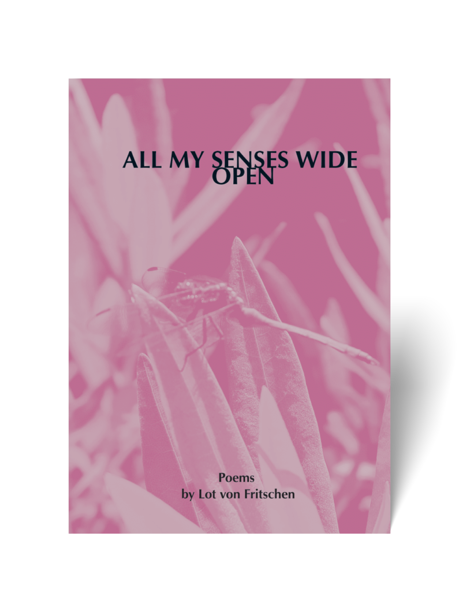 OMP_All My Senses Wide Open_Digital-Mock